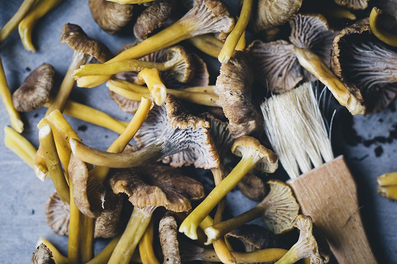 Kale_mushroom_tortilla_3