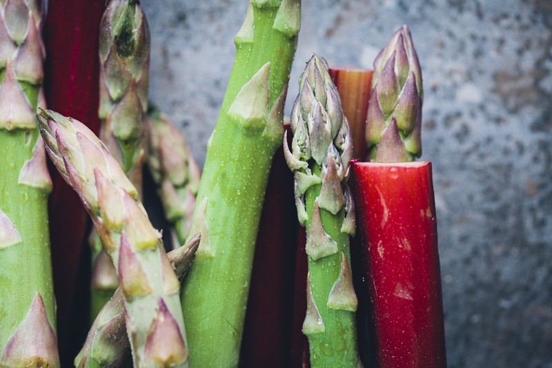 Summer_aubergine_rolls_2
